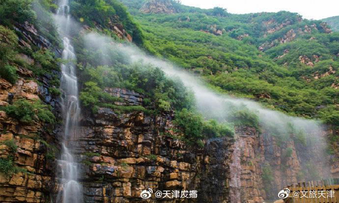 逗小猴开心系列167